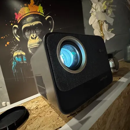 Jungle With Netflix And Video Projector Apartman