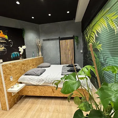 Jungle With Netflix And Video Projector