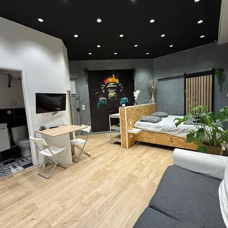 Jungle With Netflix And Video Projector Apartman Lyon