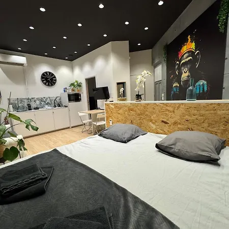 Jungle With Netflix And Video Projector