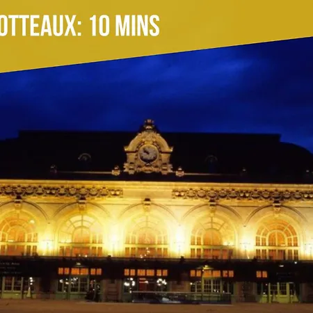 Jungle With Netflix And Video Projector *