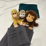 Ciné Jungle Projecteur 4k Cœur De 6 Apartamento *