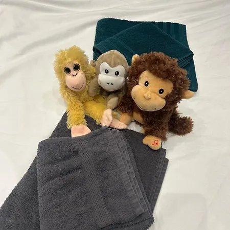 Jungle With Netflix And Video Projector Apartamento *